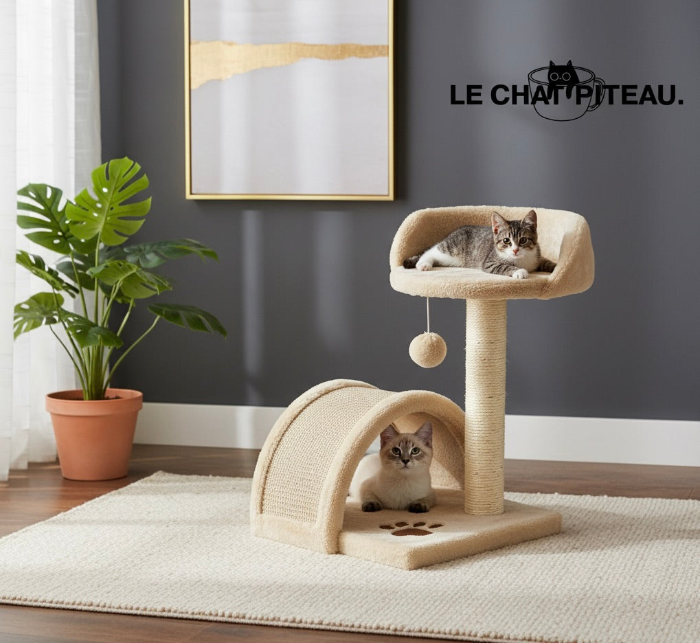 LE PONPON - LE PETIT QUI FAIT SENSATION