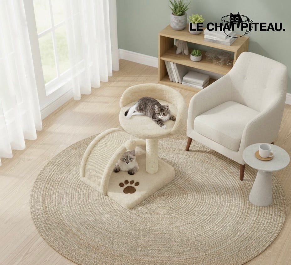 LE PONPON - LE PETIT QUI FAIT SENSATION