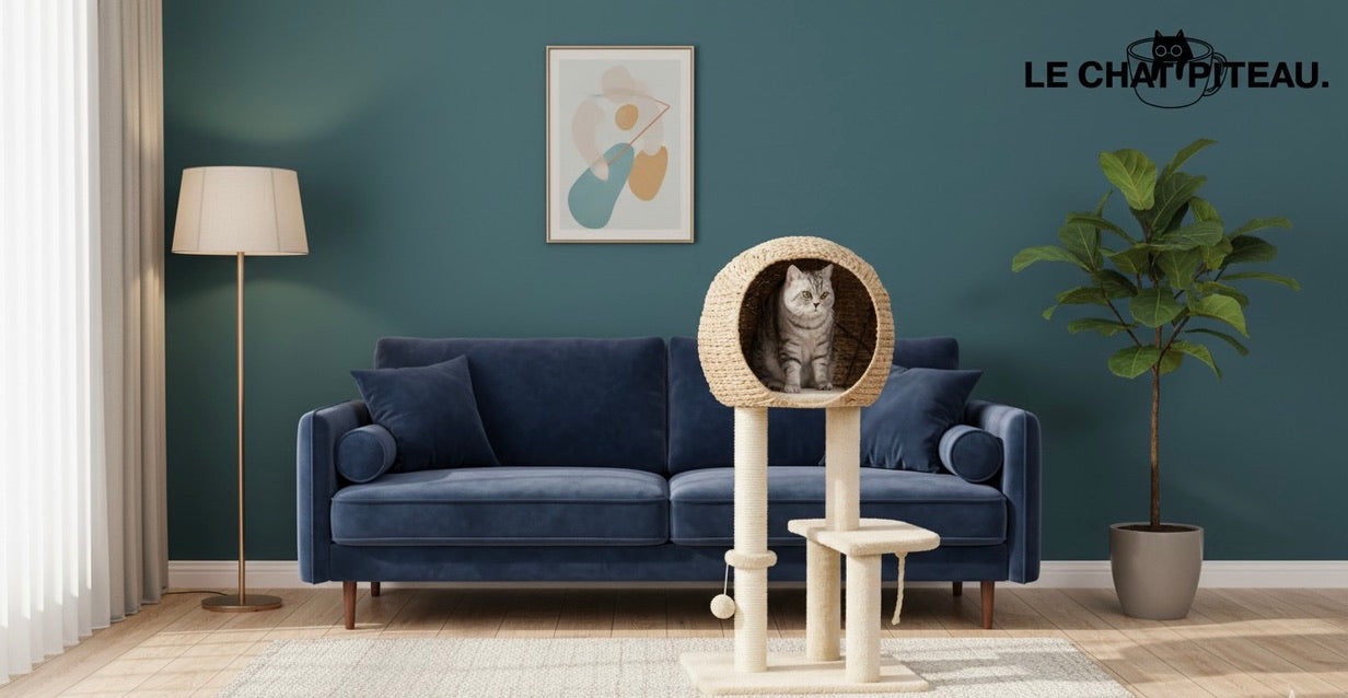 LE COCOTIER - COMME SUR UNE ILE