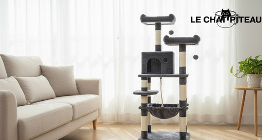 LE DOUILLET - UN VELOUR QUI PLAIT