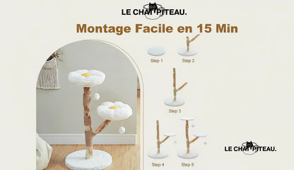 Le Marguerite - Arbre à chat printanier