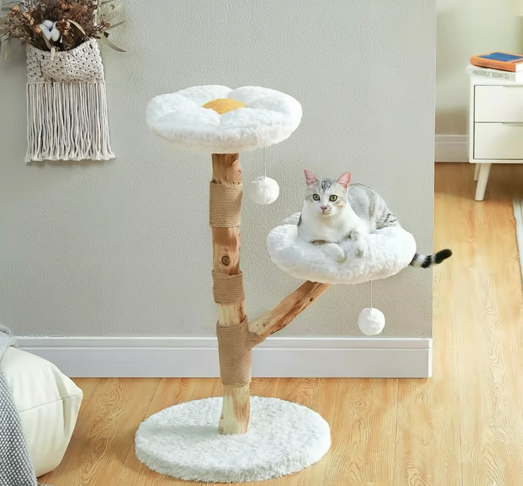 Le Marguerite - Arbre à chat printanier