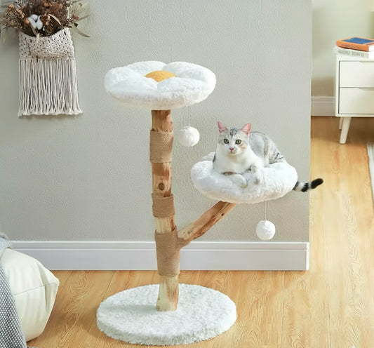 Le Marguerite - Arbre à chat printanier