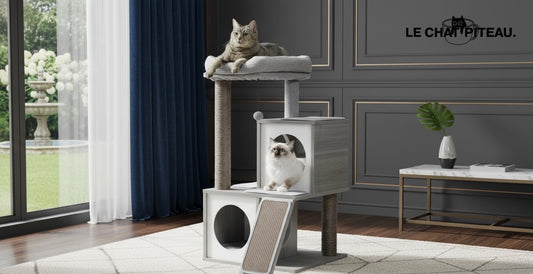 LE BOISÉ - ARBRE A CHAT HAUT DE GAMME