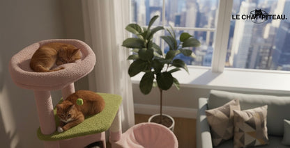 LE FÉERIQUE - L'ARBRE A CHAT D'UN AUTRE MONDE