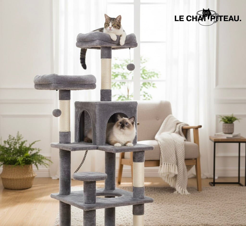 LE CLASSIQUE - L'ARBRE QUI PASSE PARTOUT