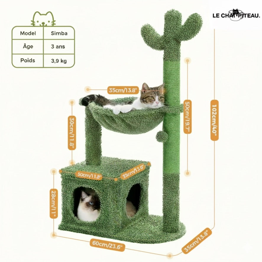 LE CACTUS - L'ARBRE DU DÉSERT