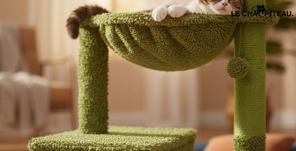 LE CACTUS - L'ARBRE DU DÉSERT