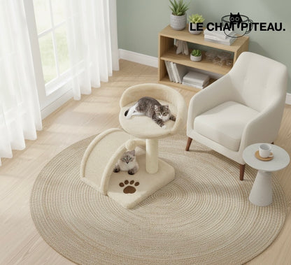 LE PONPON - LE PETIT QUI FAIT SENSATION