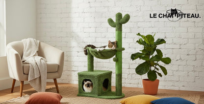 LE CACTUS - L'ARBRE DU DÉSERT