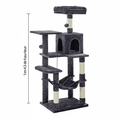 Le Confort - Arbres à chat