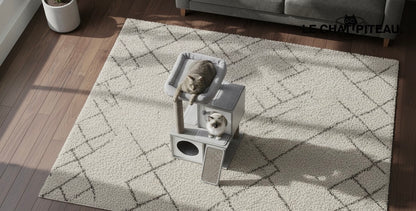 LE BOISÉ - ARBRE A CHAT HAUT DE GAMME