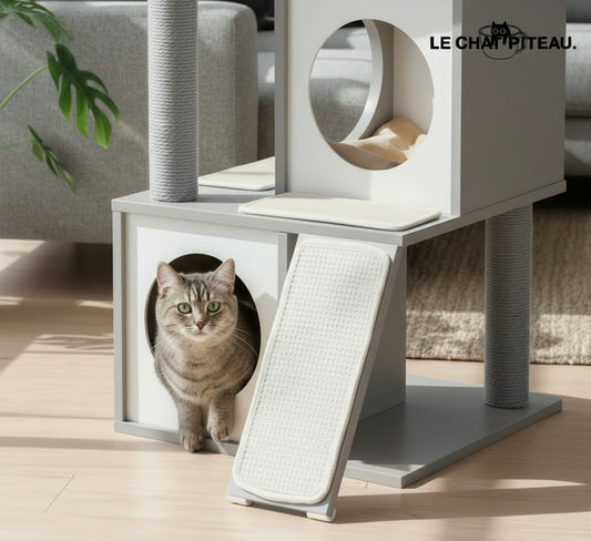 LE BOISÉ - ARBRE A CHAT HAUT DE GAMME