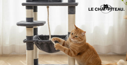 LE DOUILLET - UN VELOUR QUI PLAIT